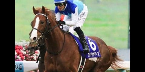 共同通信杯、穴党記者が打倒・２歳王者の刺客に挙げる「意外な２頭」