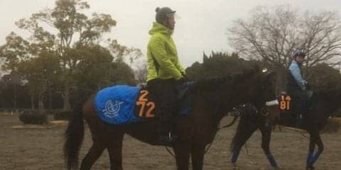 【クイーンC】カレンブーケドール  国枝師「相手も強そうだが期待はあるよ」