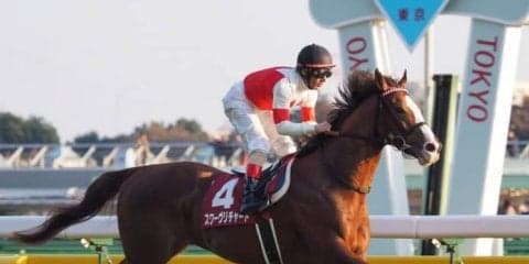2019ドバイワールドカップデー 日本馬の招待受諾