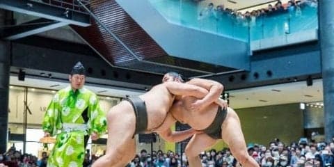 嘉風、琴奨菊らが登場！相撲イベント「うめきた場所in グランフロント大阪」開催