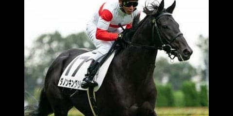 共同通信杯、人気の実績馬２頭を負かすのは東京コースが合うあの馬だ