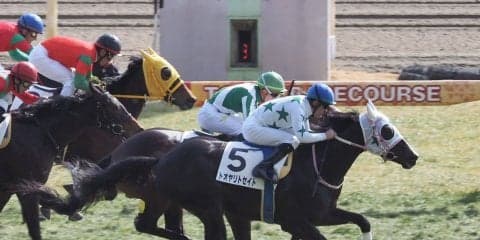 【東京6R】トオヤリトセイトが直線一気の差し切り！