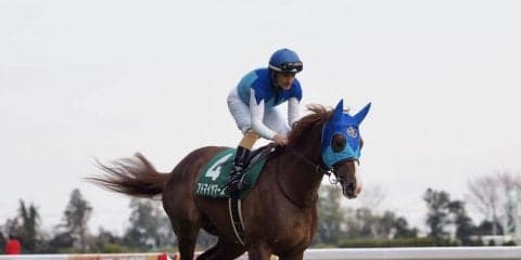 【共同通信杯】デムーロ「しょうがないです…」アドマイヤマーズ初黒星