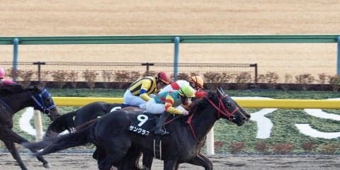 【バレンタインS】8歳馬サングラスが約2年ぶりV！