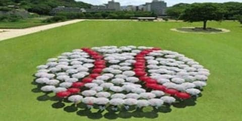 正岡子規に「野球拳」の発祥…野球王国・愛媛が仕掛ける野球ファン拡大への施策