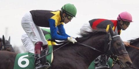 【クイーンC】ビーチサンバ出遅れも2着！福永「隣の馬が暴れて…」