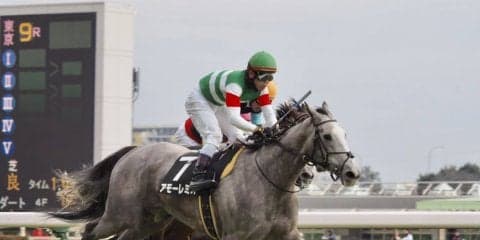 【テレビ山梨杯】8番人気アモーレミオが完勝！