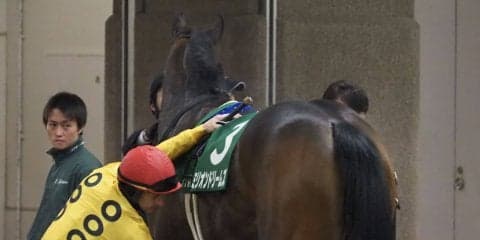 【クイーンC】ミリオンドリームズ8着！ルメール 「柔らかい馬場の方が…」