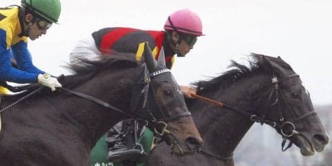 【クイーンC】クロノジェネシス完勝！北村友「前哨戦としてはいい内容」