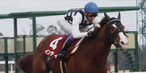 【フェブラリーS】登録馬と見どころ 武豊インティ 藤田菜七子初G1騎乗など