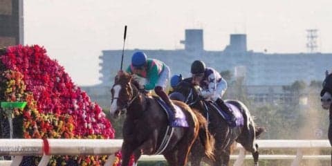 2019ドバイワールドカップデー 日本馬の招待受諾