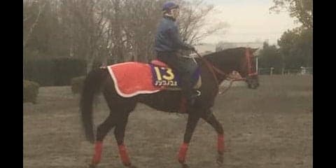 【フェブラリーS】ノンコノユメ 関東馬唯一の出走