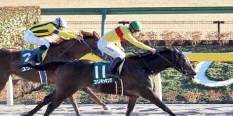 【フェブラリーS】武豊インティ4枠6番 菜七子コパノキッキング7枠11番