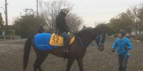 【ダイヤモンドS】ルミナスウォリアー 得意の東京で好走なるか