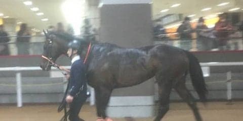 土曜東京９Ｒ・フリージア賞は７番人気の伏兵アトミックフォースがＶ