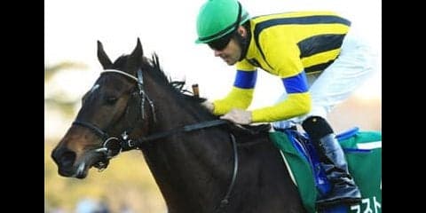 名手ルメールが「相当な馬」と絶賛。大一番へ夢膨らむラストドラフト