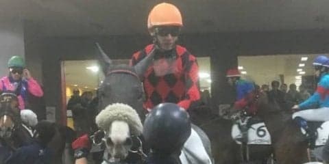 土曜東京４Ｒ新馬は柴田政人厩舎の最低人気チバタリアンが制す