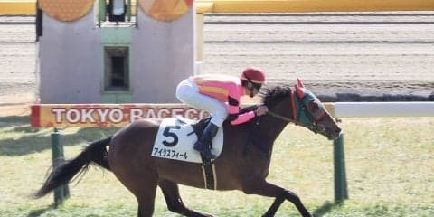 【東京5R/新馬戦】アイリスフィールが余力十分のデビュー勝ち