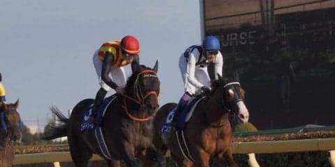 【フェブラリーS】インティが逃げ切りで7連勝！武豊1年2ヶ月振りG1制覇