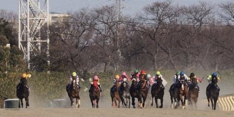 【フェブラリーS】ルメール「また2着…」レース後 ジョッキーコメント