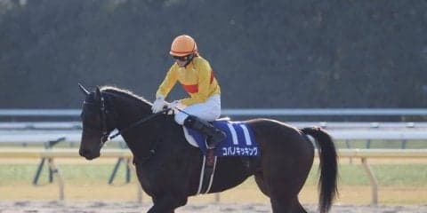 【フェブラリーS】菜七子「泣きそうにはなりました」G1初騎乗は果敢に追い込み大健闘の5着