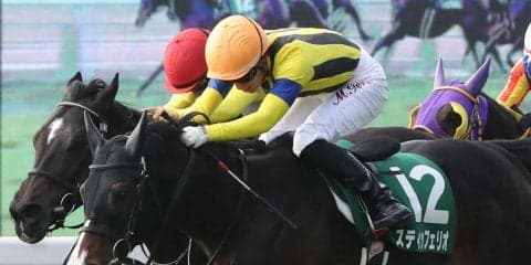 【小倉大賞典】スティッフィリオが重賞連勝！丸山「もっと伸びしろはある」