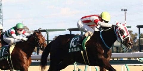 エテルナミノル号が競走馬登録抹消