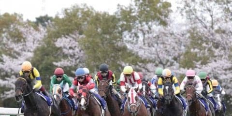 レーヌミノル号が競走馬登録抹消