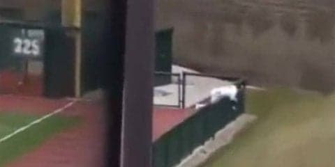 猛ダッシュ→激突でフェンス越え→ボール離さず…大学生の衝撃の美技動画が話題