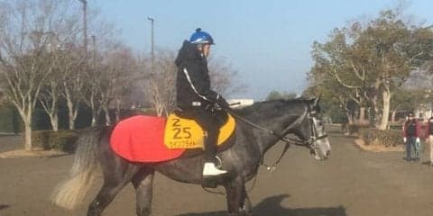 【中山記念】ウインブライト 中山巧者で互角以上の走り見せる