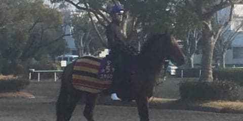 【中山記念】ステルヴィオ 丸山が新コンビ