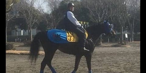 【阪急杯】タイムトリップ 菊川師「コース的には合っている」