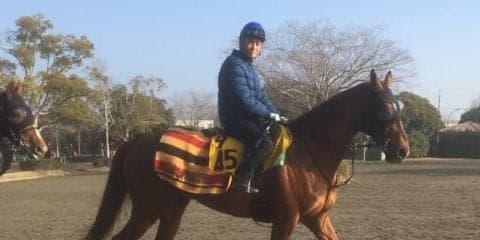 【阪急杯】スターオブペルシャ 前走と同条件で好走なるか