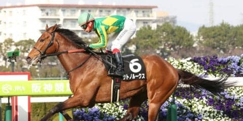 【すみれS】良血サトノルークスが3勝目をマーク！クラシックへ手応え