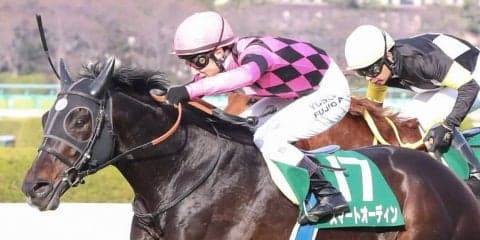 【阪急杯】藤岡佑「かなり能力が高い」スマートオーディンが復活V！