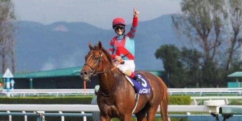 グレイスフルリープ号が競走馬登録抹消