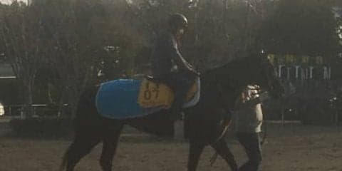 【オーシャンS】ナックビーナス 3度目の正直なるか