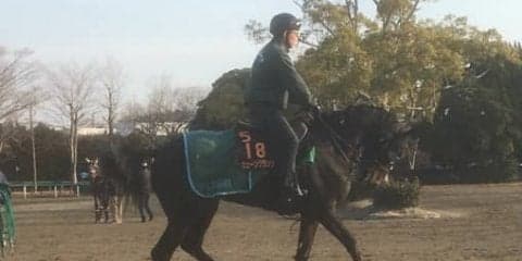 【チューリップ賞】良血シェーングランツ巻き返しなるか