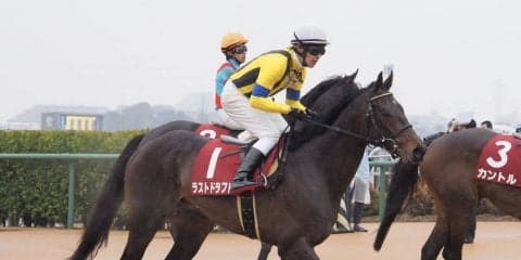 【弥生賞】ラストドラフト直線失速…7着敗退