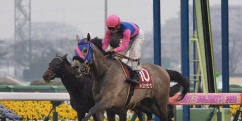 【弥生賞】メイショウテンゲンが力強く差し切る！重賞初制覇