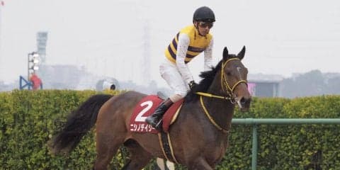 【弥生賞】1番人気ニシノデイジー伸び切れず4着まで