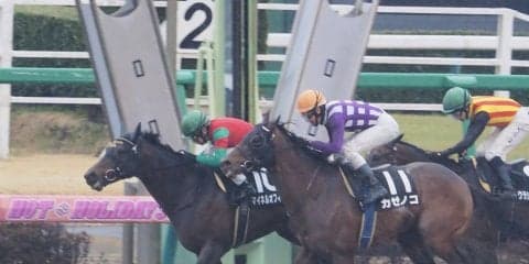 【総武S】14番人気 マイネルオフィールが差し切る波乱！