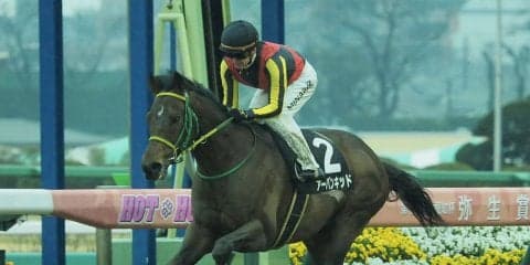 【スピカS】アーバンキッドがロスのない競馬で差し切りV！