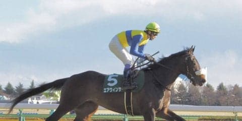 【武豊日記】金鯱賞、楽しみのような怖いような…