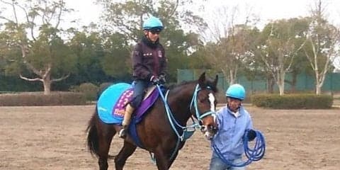 【阪神スプリングジャンプ】オジュウチョウサン 障害復帰で貫禄の走りなるか