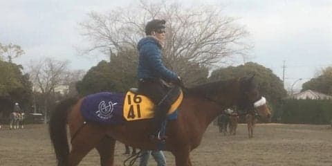 【中山牝馬S】フロンテアクイーン 重賞2着が5回！待望の制覇へ