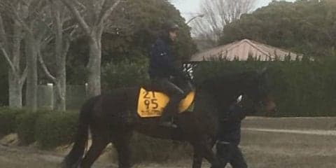【中山牝馬S】ワンブレスアウェイ 古賀慎師「ラストランに相応しいデキ」