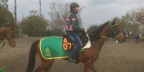 【フィリーズレビュー】ココフィーユ 逆輸入ジョッキーを背に権利取りに挑む