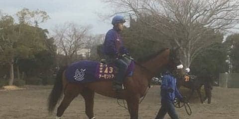 【ドバイ遠征】アーモンドアイ ルメール「何も変わらない」