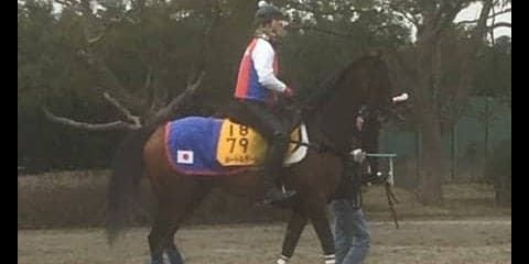 【金鯱賞】メートルダール 得意の条件で2度目の重賞狙う